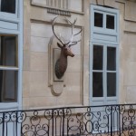 Cour des cerfs, Versailles intime, Château de Versailles (Yvelines)