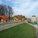 Potées de chrysanthème cascade dans le Jardin du Luxembourg en automne, Paris 6e (75)