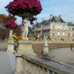 Vasques de chrysanthèmes dans le Jardin du Luxembourg en automne, Paris 6e (75)