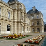 Parterres de chrysanthèmes dans le Jardin du Luxembourg en automne, Paris 6e (75)