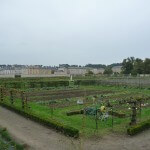 Potager du Roi en automne, Versailles (78)