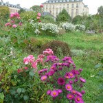 Jardin Duhamel du Monceau en automne, Versailles (78)
