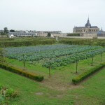 Potager du Roi en automne, Versailles (78)