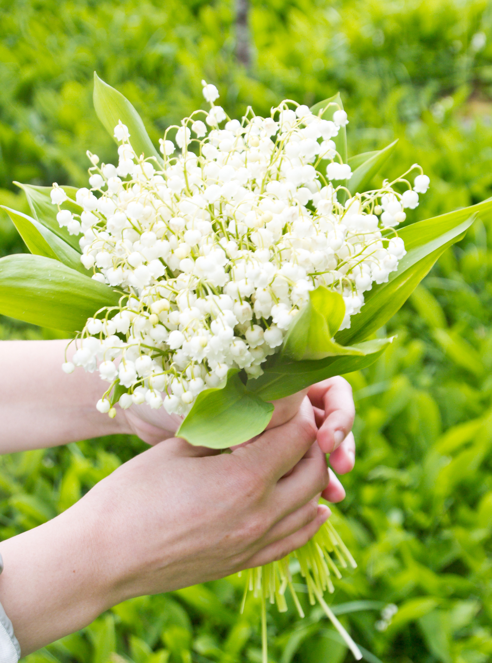 Bouquet de muguet, photo © termis1983 - Fotolia.com