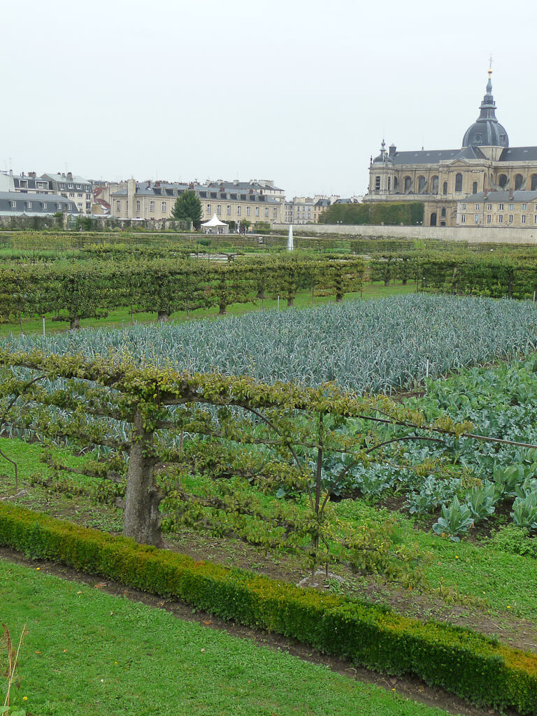 Potager du Roi, Versailles (78)