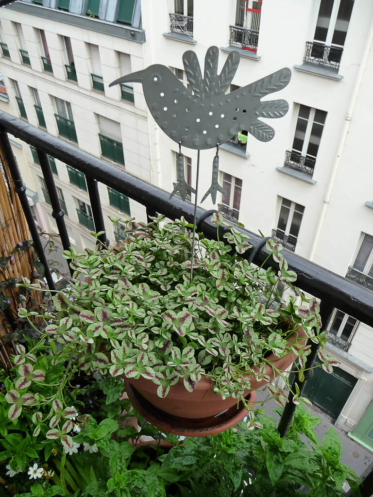 Lire la suite à propos de l’article Vent des Rameaux au sud-est pour Paris