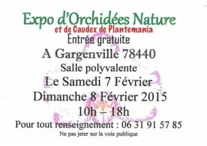 Exposition d'Orchidées Nature, Gargenville (78), février 2015