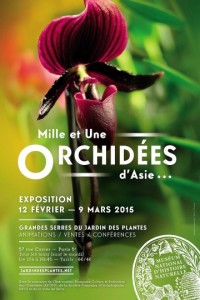 Affiche de l'exposition Mille et une orchidées, Grandes serres du Jardin des Plantes, Paris (75), 12 février au 9 mars 2015
