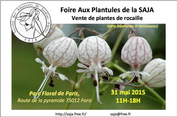 Foire aux plantules de la Saja au Parc Floral de Paris, mai 2015