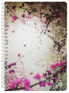 Cahier à spirale Clairefontaine, collection 2015 Chacha by Iris