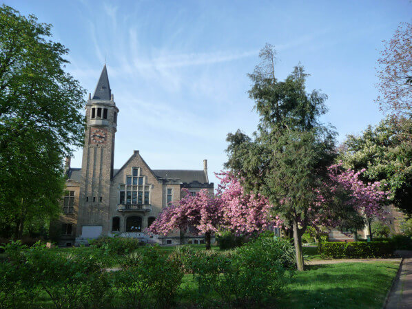 Cerisier à fleurs (Prunus) dans la Cité Universitaire, Paris 14e (75)