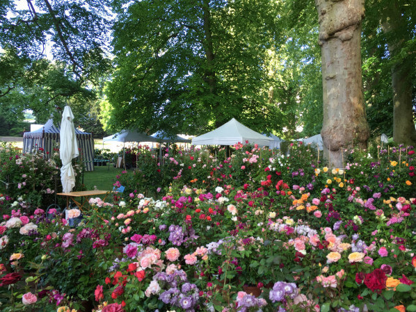 Journées des Plantes, Domaine de Chantilly, Chantilly (60)