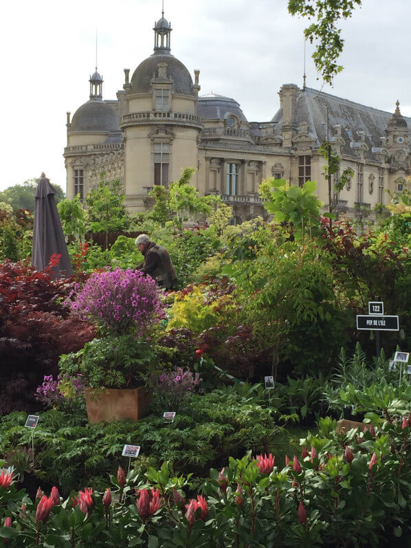 Journées des Plantes, Domaine de Chantilly, Chantilly (60), 15 mai 2015, photo Alain Delavie