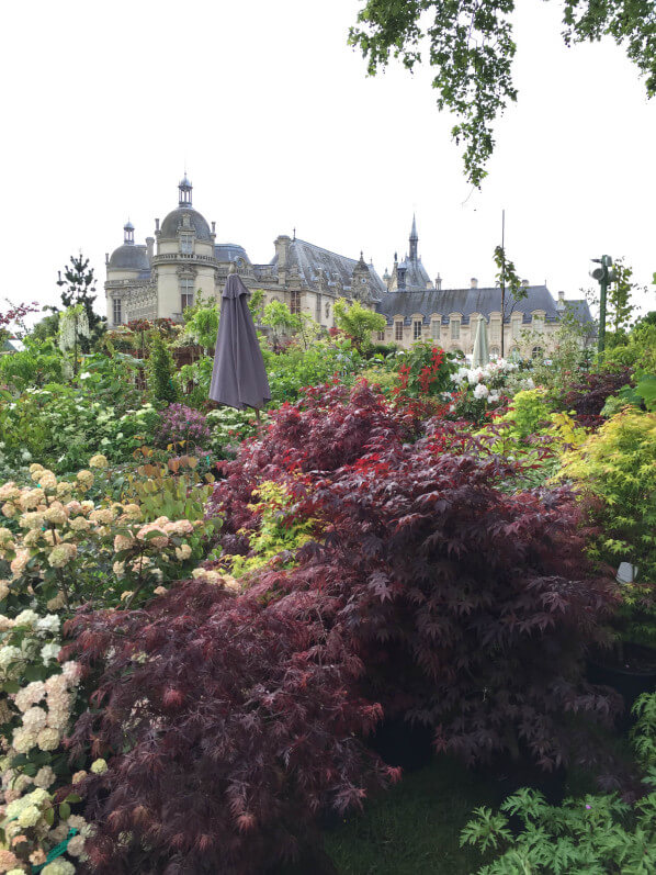 Journées des Plantes, Domaine de Chantilly, Chantilly (60), 15 mai 2015, photo Alain Delavie