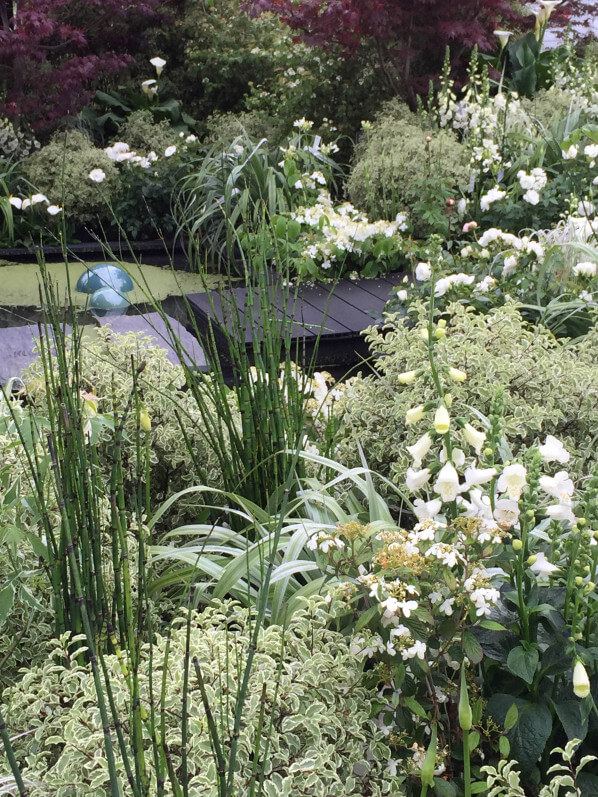 Jardin blanc de Truffaut, Journées des Plantes, Domaine de Chantilly, Chantilly (60), 15 mai 2015, photo Alain Delavie