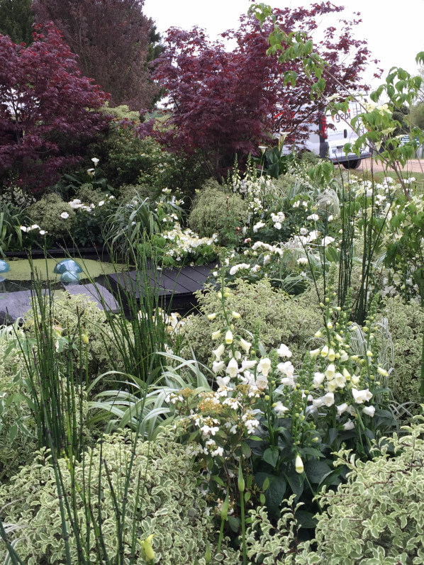 Jardin blanc de Truffaut, Journées des Plantes, Domaine de Chantilly, Chantilly (60), 15 mai 2015, photo Alain Delavie