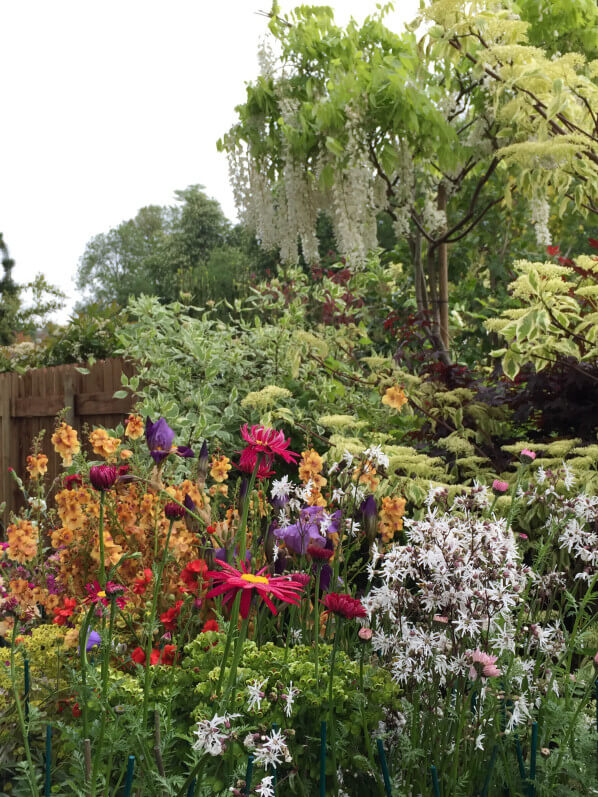 Hortiflor-Bureau, Journées des Plantes, Domaine de Chantilly, Chantilly (60), 15 mai 2015, photo Alain Delavie