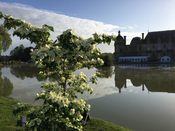 Journées des Plantes, Domaine de Chantilly, Chantilly (60)