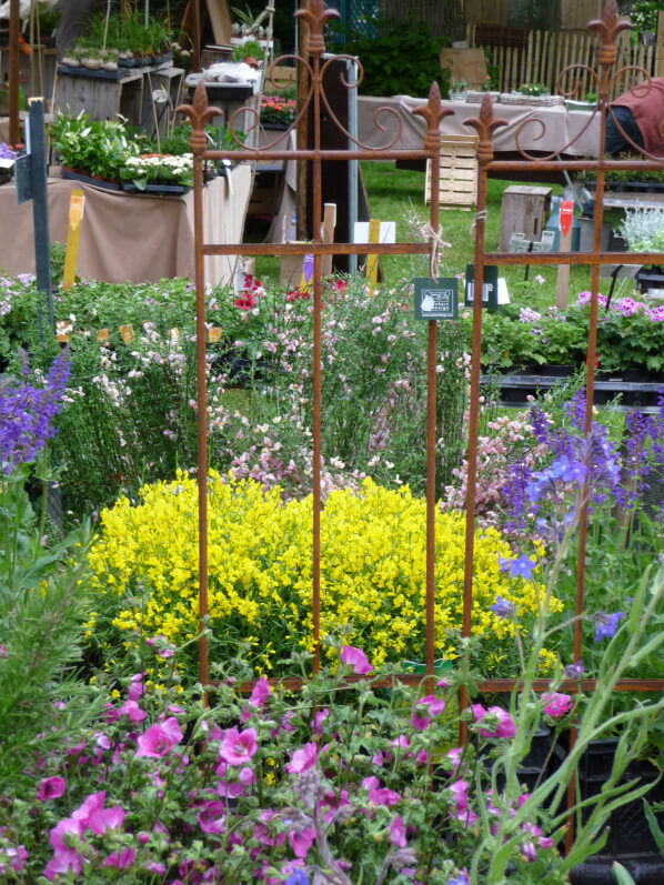 Journées des Plantes, Domaine de Chantilly, Chantilly (60), 15 mai 2015, photo Alain Delavie