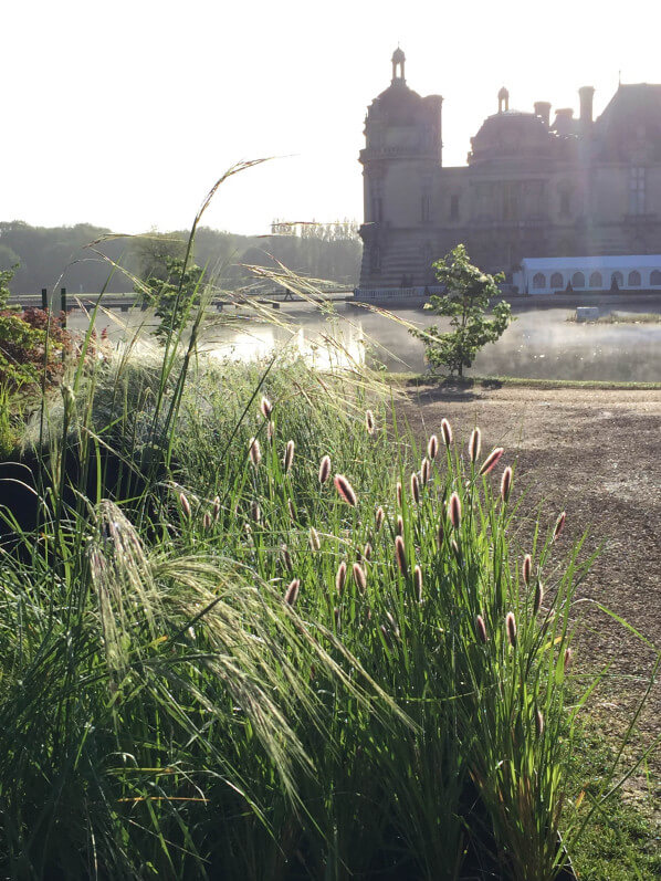 Graminées, pépinière L'Autre Jardin, Journées des Plantes, Domaine de Chantilly, Chantilly (60)