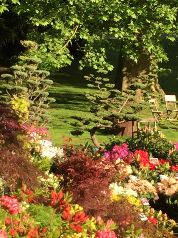 Journées des Plantes, Domaine de Chantilly, Chantilly (60)