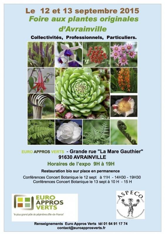 Foire aux plantes rares d'Avrainville (Essonne), septembre 2015