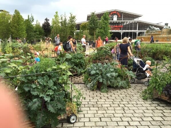 Carrés potagers près de L'Aéroflorale II, L'Expédition Végétale, Compagnie La Machine, parc de la Villette, Paris 19e (75)