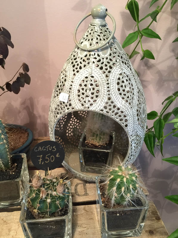 Cactus, boutique Girls and Roses, rue Montorgueil, Paris 1er (75)