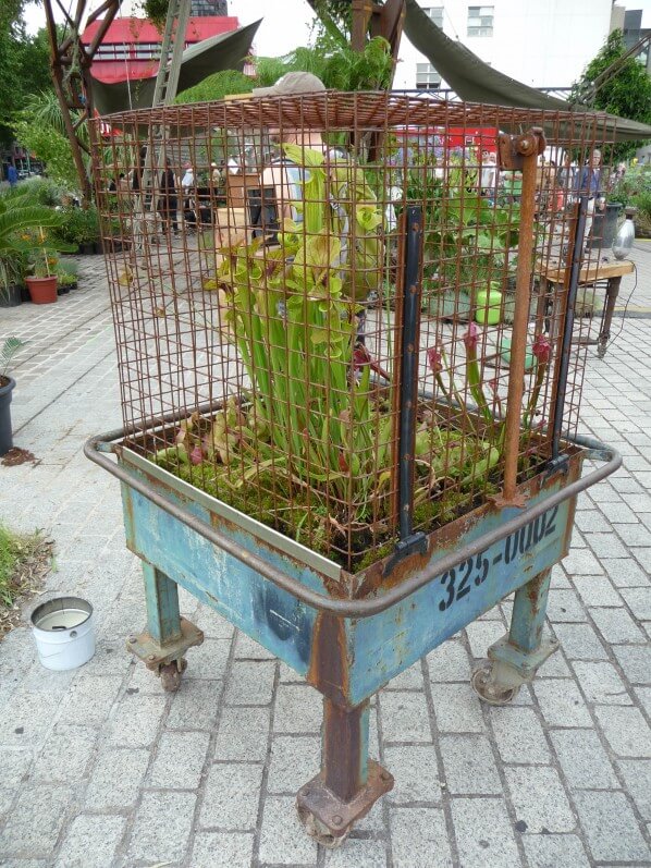 Cage à plantes carnivores, L'Aéroflorale II, L'Expédition Végétale, Compagnie La Machine, parc de la Villette, Paris 19e (75)