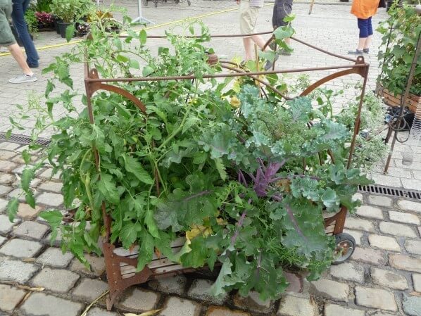 Carré potager avec des courges, L'Aéroflorale II, L'Expédition Végétale, Compagnie La Machine, parc de la Villette, Paris 19e (75)