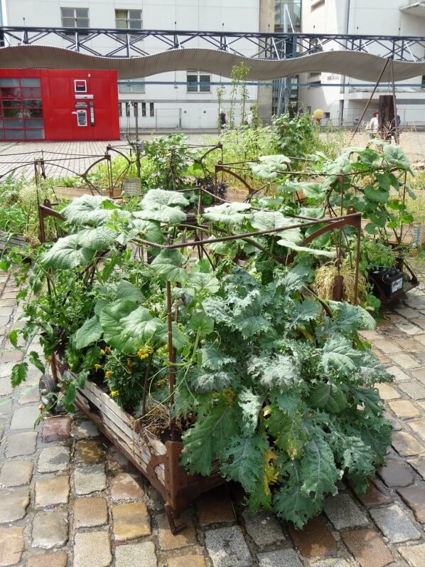 Carré potager avec des courges, L'Aéroflorale II, L'Expédition Végétale, Compagnie La Machine, parc de la Villette, Paris 19e (75)