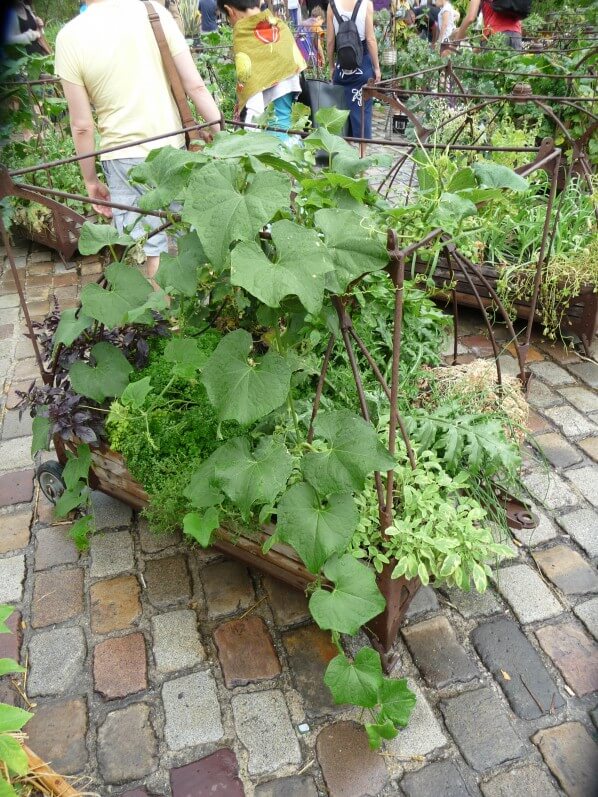 Carré potager avec des courges, L'Aéroflorale II, L'Expédition Végétale, Compagnie La Machine, parc de la Villette, Paris 19e (75)