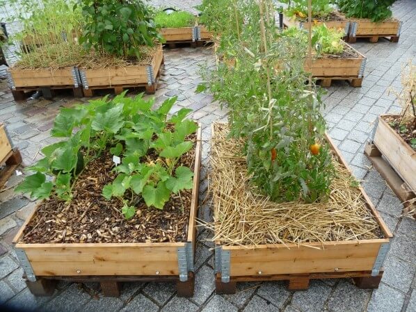 Carrés potagers, L'Aéroflorale II, L'Expédition Végétale, Compagnie La Machine, parc de la Villette, Paris 19e (75)