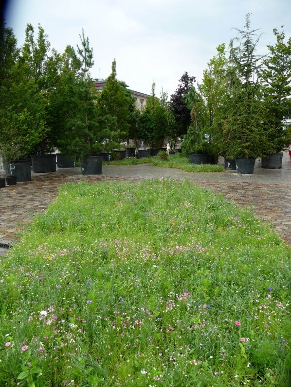 Prairie fleurie, L'Aéroflorale II, L'Expédition Végétale, Compagnie La Machine, parc de la Villette, Paris 19e (75)