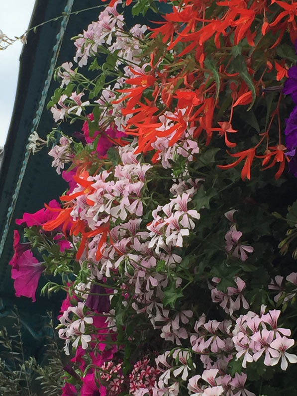 Suspension fleurie avec fleurs d'été, pétunia, pélargonium, bégonia tubéreux, gare d'Austerlitz, Paris 13e (75)