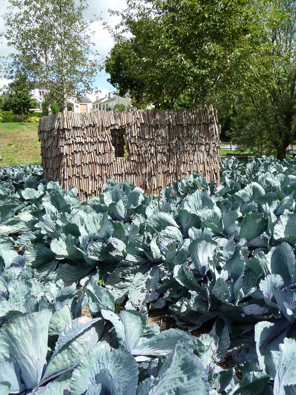 Entropic Growth, Sophie Masson et Simon Brown paysagistes, Festival Art Villes & Paysage, Étang de Clermont, les Hortillonnages, Amiens (80)