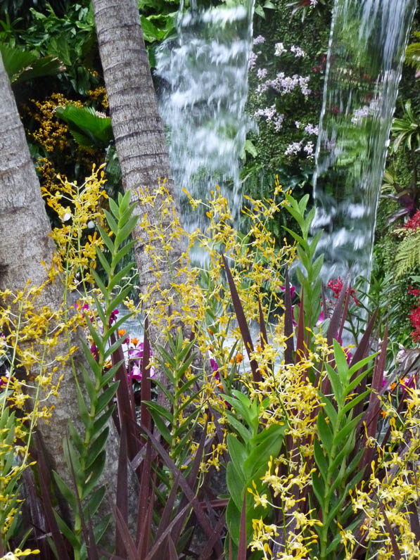 The Hidden Beauty of Kranji by Esmond Landscape & Uniseal, plantes exotiques, RHS Chelsea Flower Show, Londres (Royaume-Uni)
