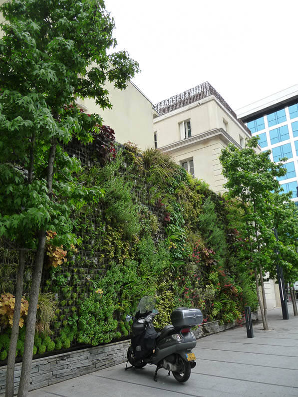 Mur végétal au 28, avenue Wagram, Paris 8e (75)