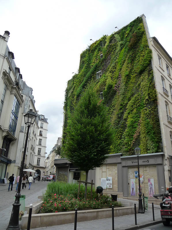 Mur végétal créé par Patrick Blanc, rue d'Aboukir, Paris 2e (75)