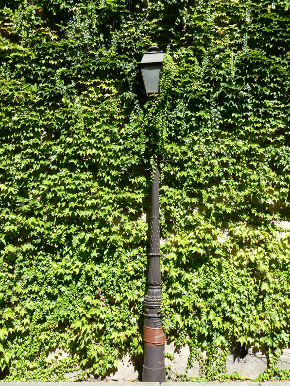 Lampadaire contre un mur couvert de vigne-vierge, rue Saint-Vincent, Montmartre, Paris 18e (75)