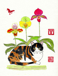 Le chat à l'orchidée, Tequila my flower, Kwon Kuen-Shan