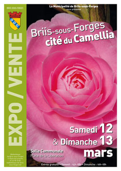 Exposition vente de caméllias, Briis-sous-Forge (91)