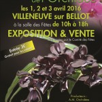 Les journées de l'orchidée, Villeneuve-sur-Bellot (77), avril 2016