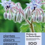 Plantes, Plaisirs, Passions, château de la Roche-Guyon (95), mai 2016
