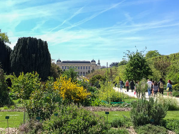 Grande perspective du Jardin des Plantes au printemps, Paris 5e (75)