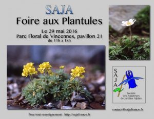 Foire aux plantules, SAJA, parc floral de Vincennes, Paris (75)