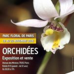 Exposition d’orchidées au Parc Floral de Paris, SNHF et association Orchidée 75, novembre 2016