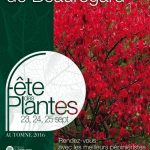 Fête des Plantes automne, Domaine de Saint-Jean de Beauregard (91), septembre 2016
