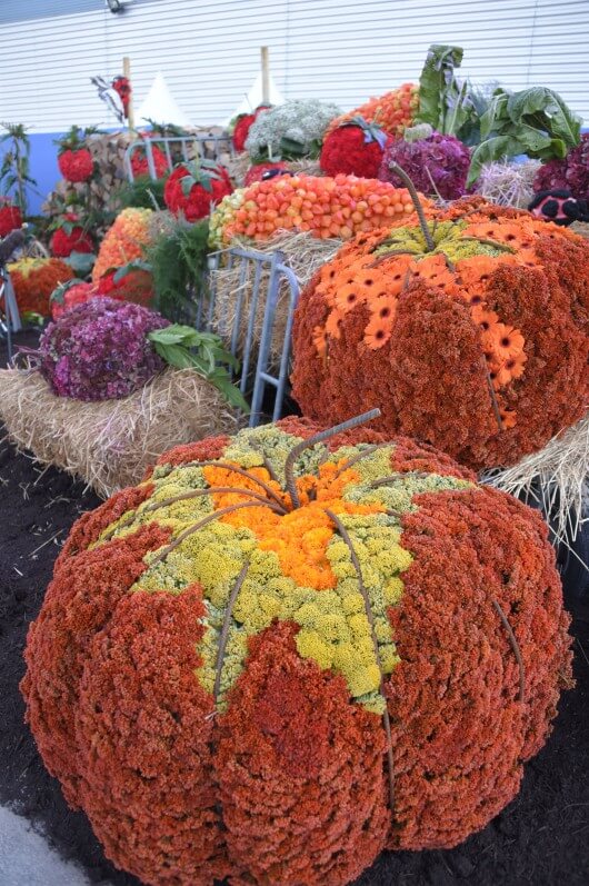 Jardin De la terre à la table créé par les Fleuristes en Folie, Folie'Flore 2015, Mulhouse (68)