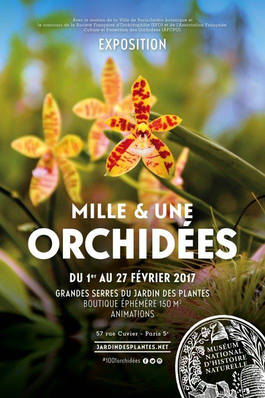Affiche de l'exposition Mille et Une Orchidées, Paris (75), février 2017